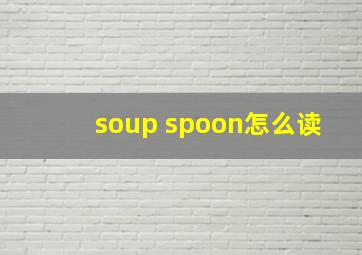 soup spoon怎么读